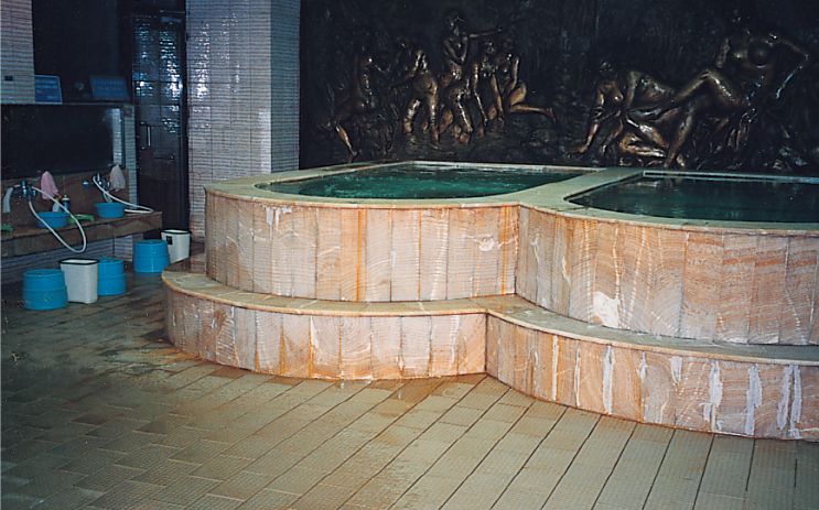 美麗華大飯店三溫暖池防水